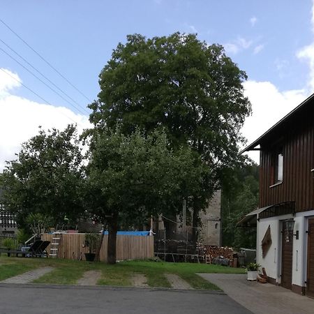 Fewo An Der Klosterruine Paulinzella Mit Kostenfreien Parkplatz Und Wlan Екстериор снимка