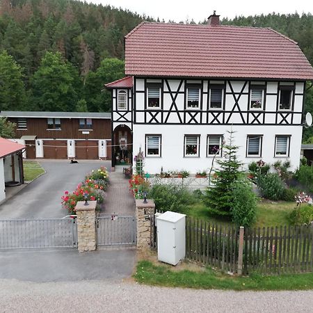 Fewo An Der Klosterruine Paulinzella Mit Kostenfreien Parkplatz Und Wlan Екстериор снимка