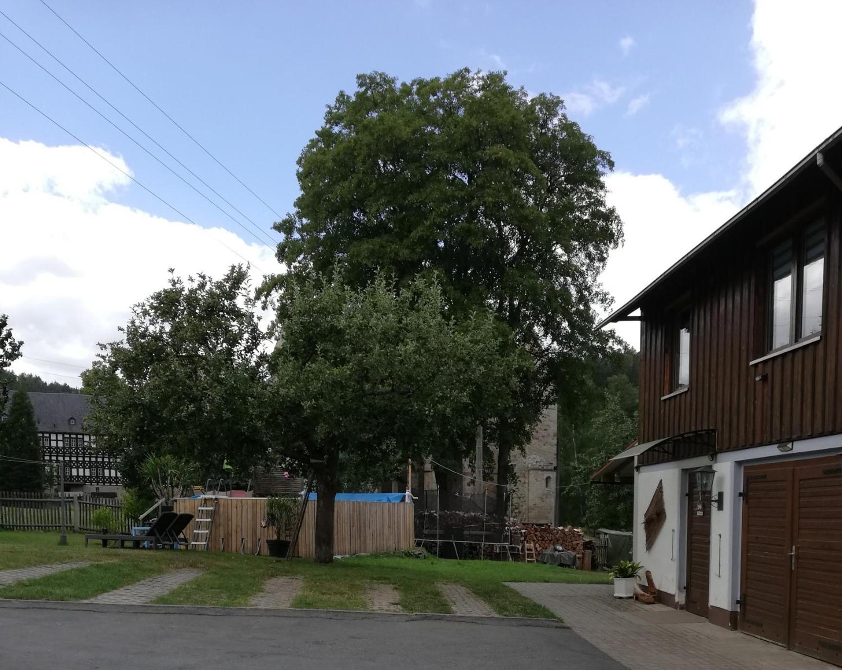 Fewo An Der Klosterruine Paulinzella Mit Kostenfreien Parkplatz Und Wlan Екстериор снимка