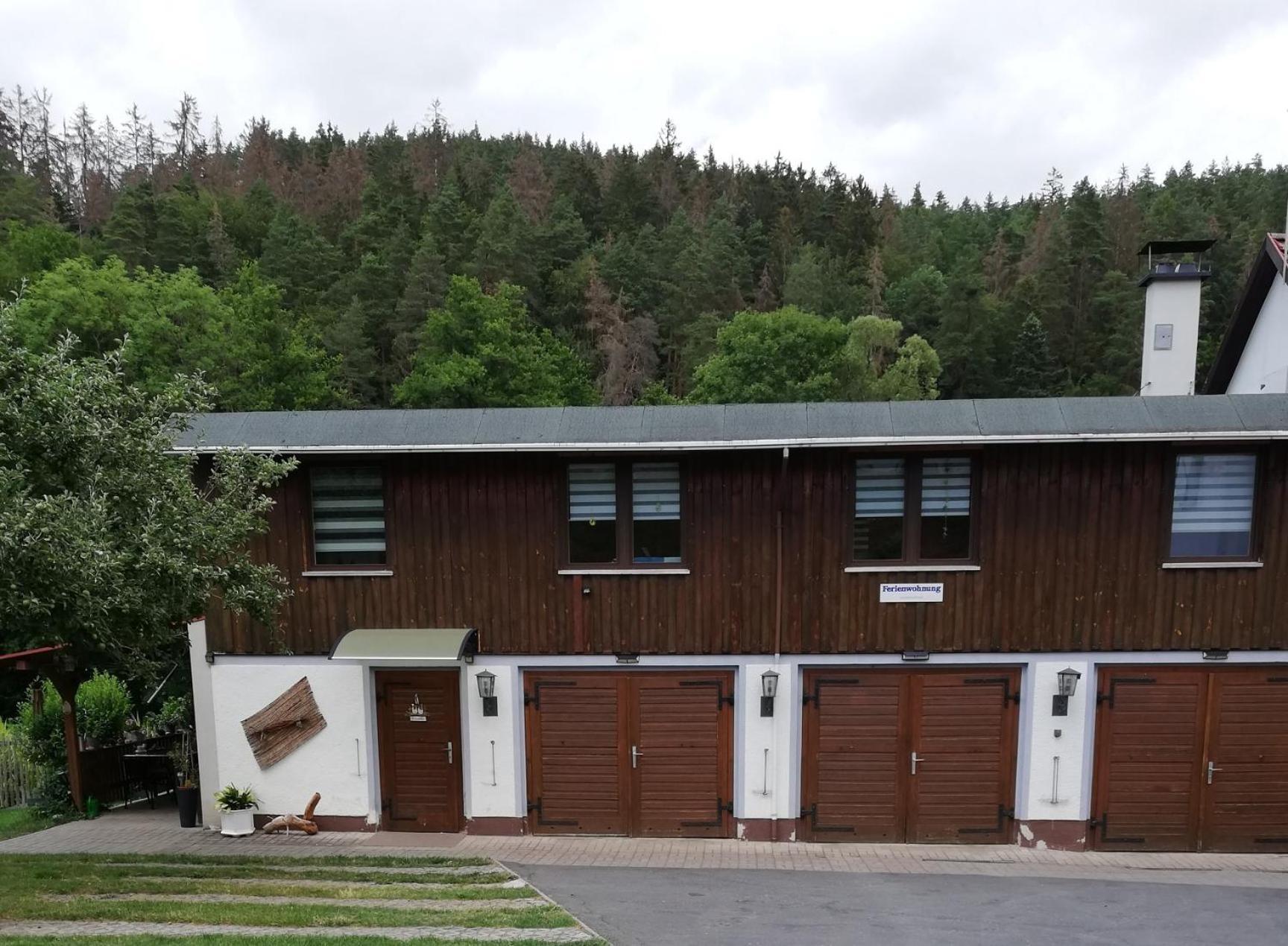 Fewo An Der Klosterruine Paulinzella Mit Kostenfreien Parkplatz Und Wlan Екстериор снимка