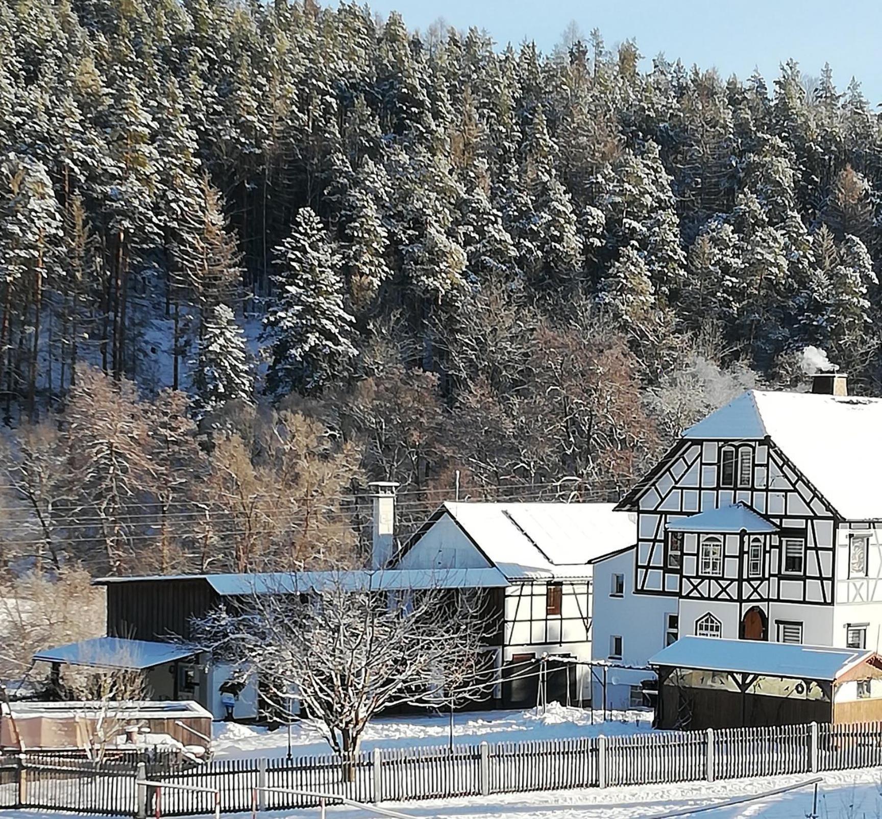 Fewo An Der Klosterruine Paulinzella Mit Kostenfreien Parkplatz Und Wlan Екстериор снимка